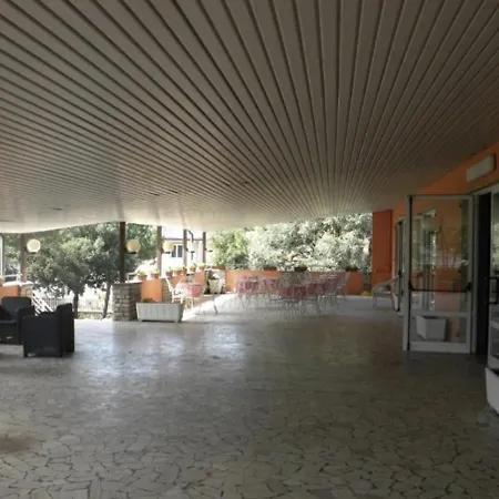New Park Hotel 3*
